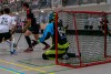 (Quelle: Andr� D�sel)
